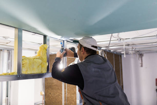 Best Residential Insulation in Morrisville, NY