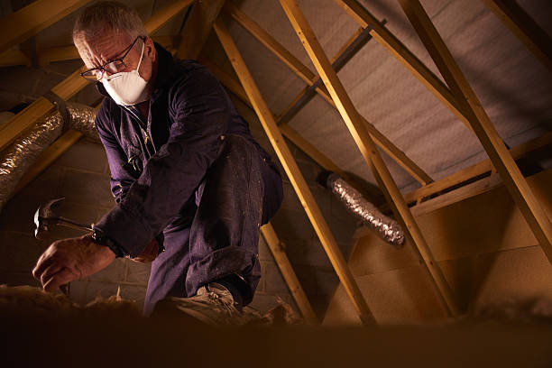 Best Insulation Maintenance and Repair in Morrisville, NY